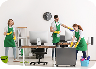 domestic cleaning services