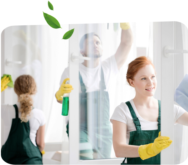 Standard Cleaning Services in Ottawa