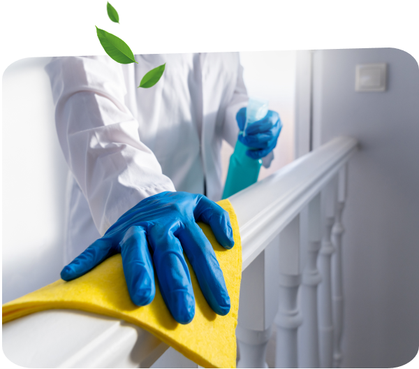 Deep Cleaning Service in Ottawa