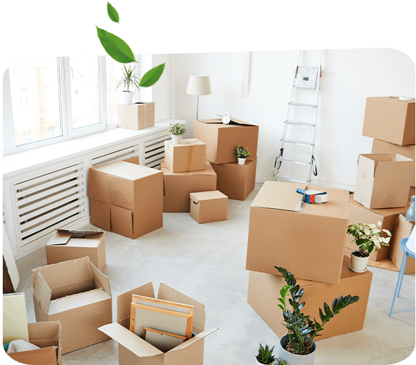 Move In Move Out Cleaning