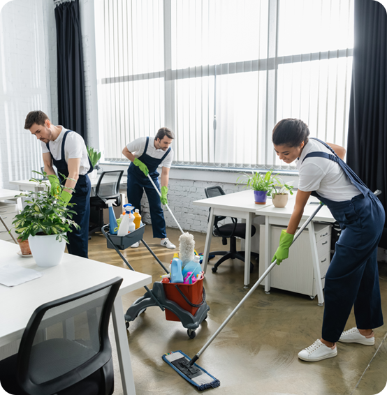 Expert Office Cleaning Services in Ottawa